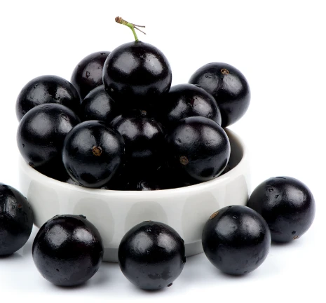 OrexiBurn Ingredient Myrciaria Jaboticaba