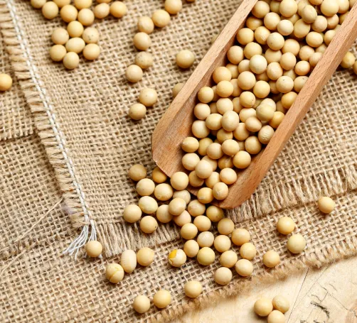 OrexiBurn Ingredient Phosphatidylserine