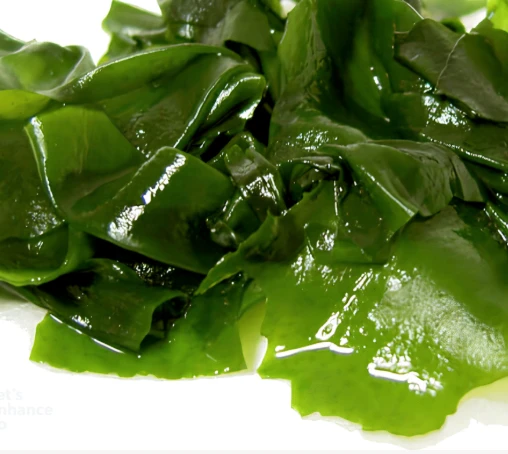 OrexiBurn Ingredient Ecklonia Cava
